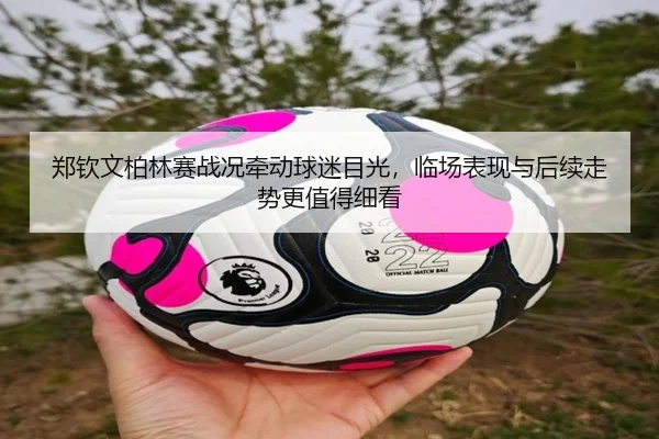 郑钦文柏林赛战况牵动球迷目光，临场表现与后续走势更值得细看